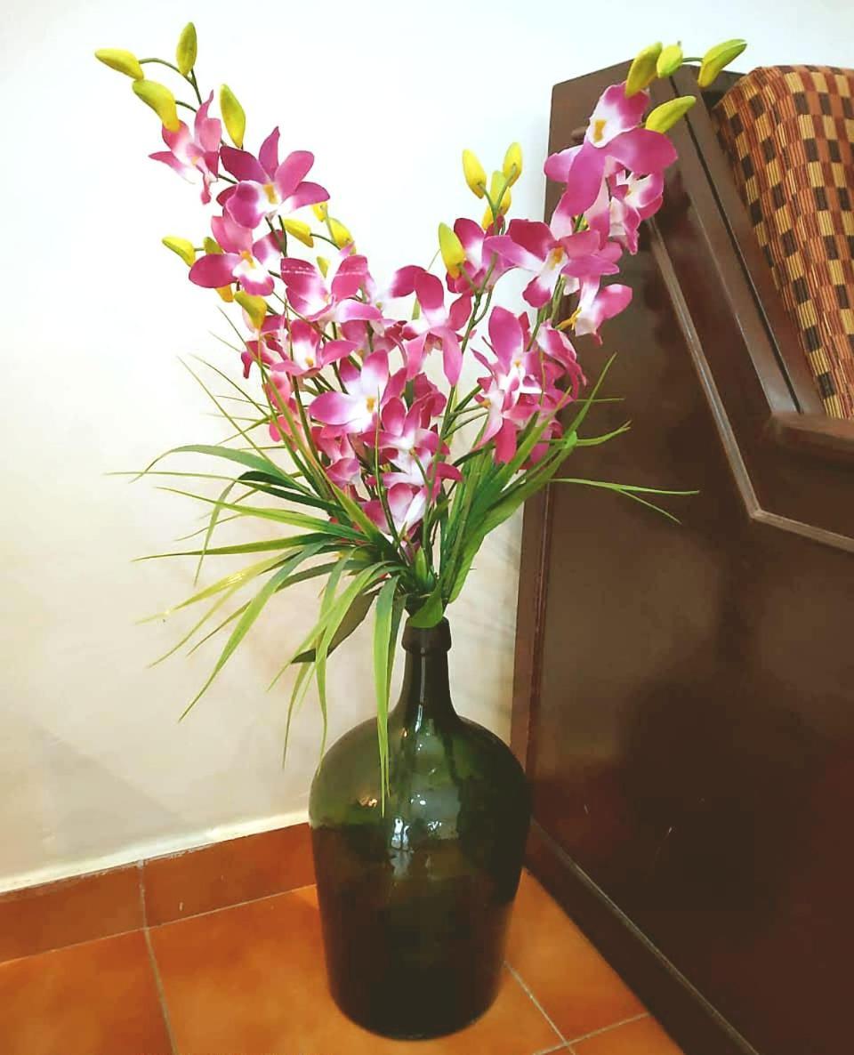 Diana Apartments Candolim Esterno foto